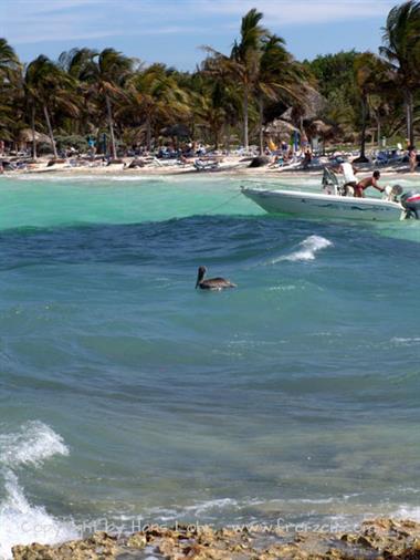 Die Strände auf Cayo Coco,_DSC01619_B720